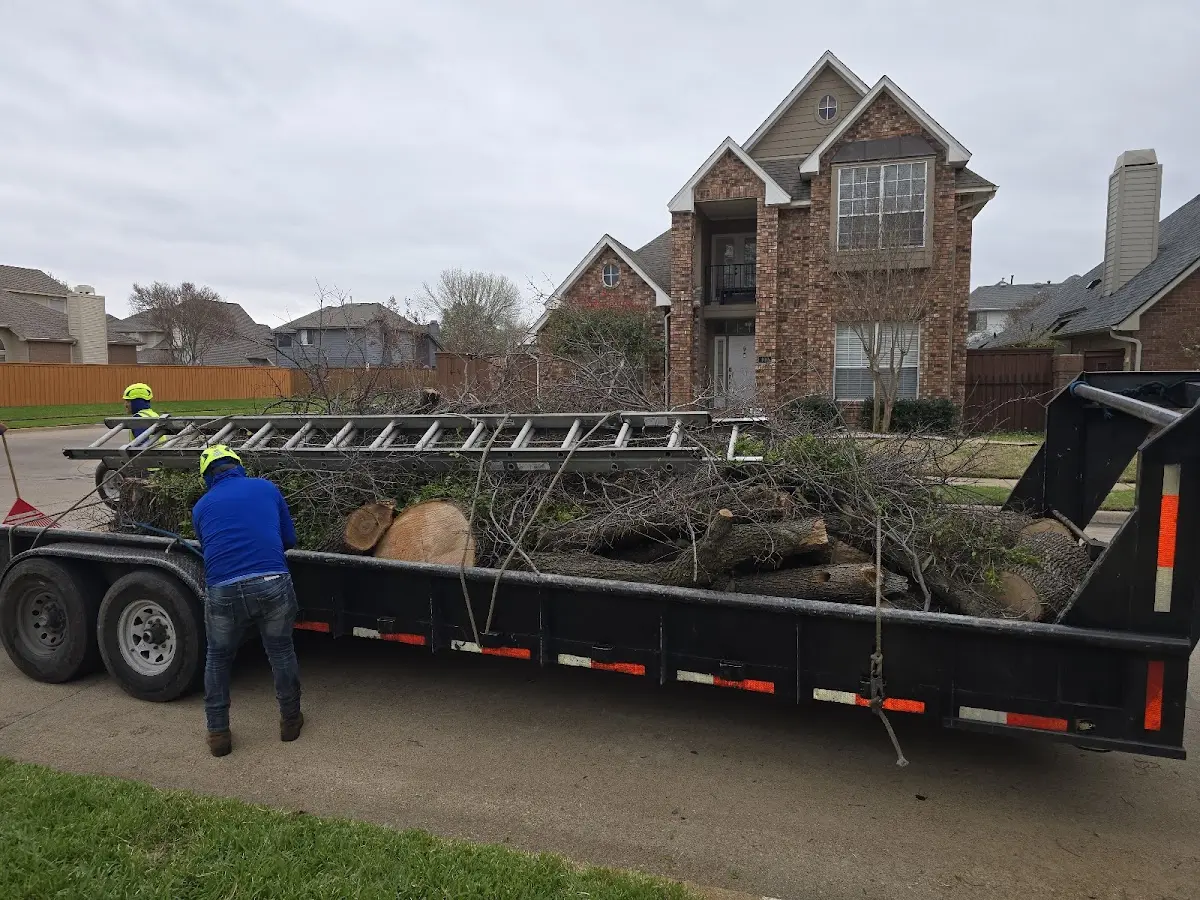 Expert Lot Clearing with proper safety equipment in Flasher